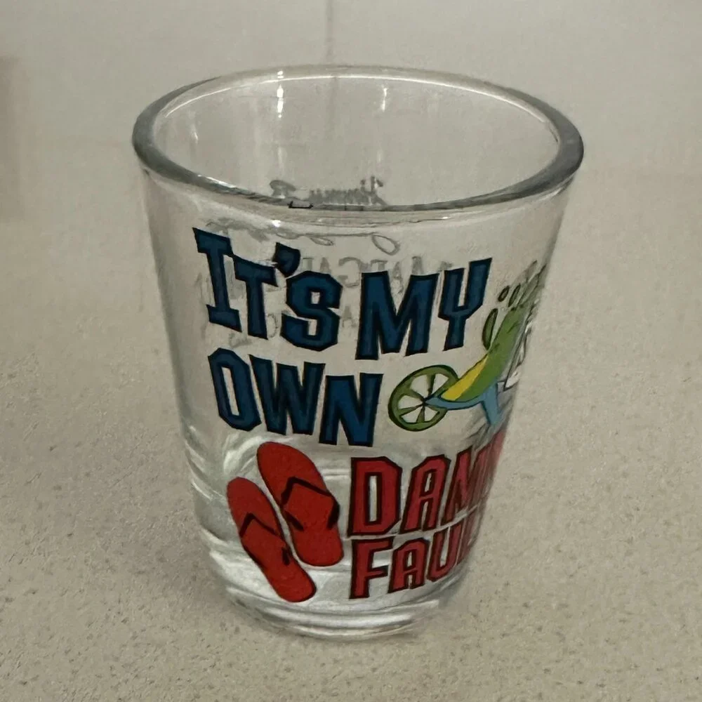 It's My Own Damn Fault - Shot Glass